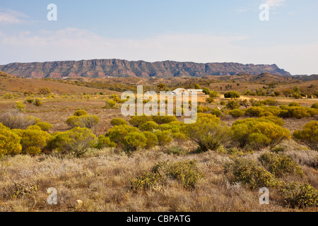 Emus in der Nähe von arkaba Woolshed auf arkaba Station mit der älteste Bereich im Hintergrund im Outback South Australia, Australien Stockfoto