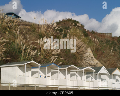 Eine Reihe von weißen Strand Hütten auf einem hellen, sonnigen Tag durch die Pampas Gras gesichert, ein hohes Gras Bank und blauer Himmel mit weißen flauschigen Wolken in Bexhill Stockfoto