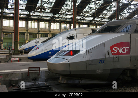 SNCF TGV Sud-Est, Gare de Lyon, Paris, Frankreich Stockfoto