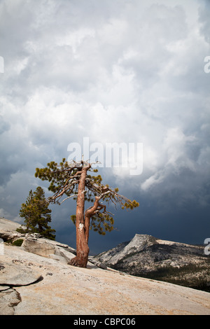 Ein Kletterer ist aufsteigend einige große Sandstein in Red Rock, in der Nähe von Las Vegas in Nevada. Stockfoto