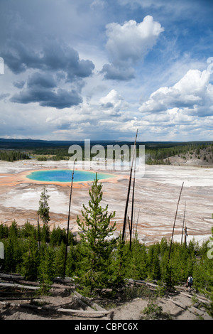 Grand Prismatic Spring, Yellowstone Nationalpark, WY Stockfoto