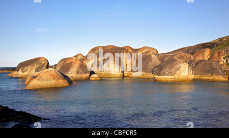 Elephant Rocks im William Bay National Park, in der Nähe der Stadt Dänemarks, Western Australia. Stockfoto