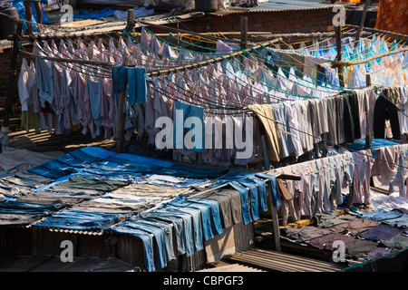 Traditionelle indische professionelle Hand Wäsche, Dhobi Ghat, in Mahalaxmi-Bereich von Mumbai, Indien Stockfoto