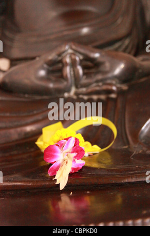 Wat Benchamabophit (Marmor-Tempel), Bangkok, Thailand Stockfoto