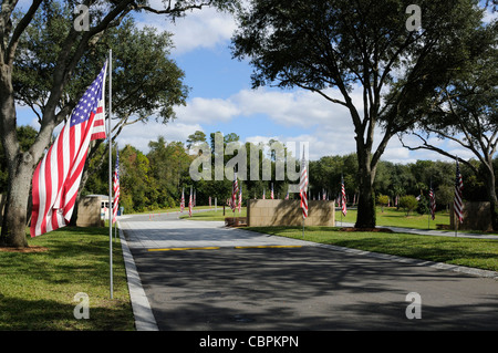 Florida-Staatsangehörig-Kirchhof in den Withlacoochee State Forest Florida USA Stars & Stripes Linie die Zufahrtsstraße Stockfoto