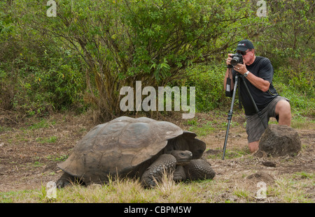 Touristen, die in Bezug auf Santa Cruz Highlands Galapagosinseln Ecuador Südamerika Galapagos Riesenschildkröten Stockfoto