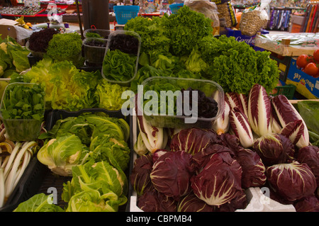 Salat-Markt am Piazza Delle Erbe Altstadt Verona Veneto Region Nord Italien Europa Stockfoto