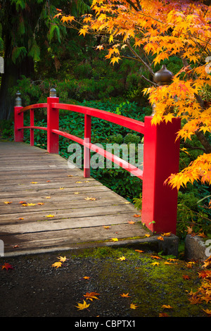 Fußgängerbrücke über den Teich umgeben von Ahornbäume im Herbst Farbe bei Kubota japanische Gärten, Seattle, Washington Stockfoto