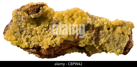 Mimetite, Ojuela Mine, Mapimi, Durango, Mexiko Stockfoto