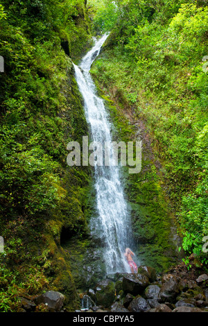 Lulumahu Fälle, Lulumahu Tal, Nuuanau, Oahu, Hawaii Stockfoto