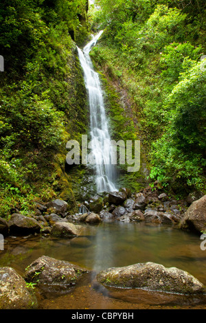 Lulumahu Fälle, Lulumahu Tal, Nuuanau, Oahu, Hawaii Stockfoto