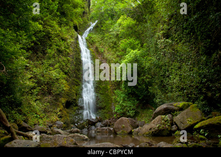 Lulumahu Fälle, Lulumahu Tal, Nuuanau, Oahu, Hawaii Stockfoto