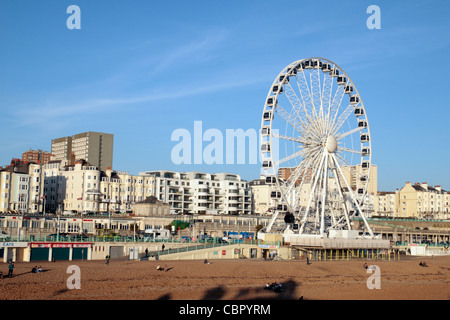 Die Brighton Wheel (Riesenrad) auf Brighton Seafront, East Sussex, England. Stockfoto