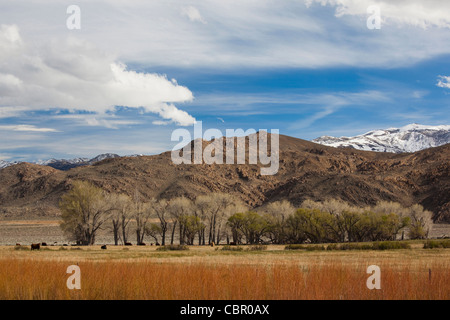 USA, California, Sierra Nevada Ostregion, Bischof, Landschaft von angenehmen Tal Stockfoto