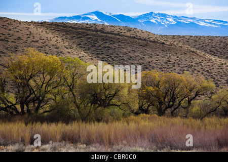 USA, California, Sierra Nevada Ostregion, Bischof, Landschaft von angenehmen Tal Stockfoto