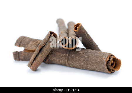 Zimtrinde, angeordnet auf einem weißen Hintergrund Stockfoto