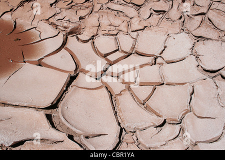 Schlamm-Risse-Form als ein Bachbett vertrocknet Stockfoto