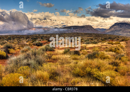 Clearing-Sturm, in der Nähe von High Desert, Hurricane Cliffs und Pine Valley Berge Hurrikan, Utah, USA Stockfoto