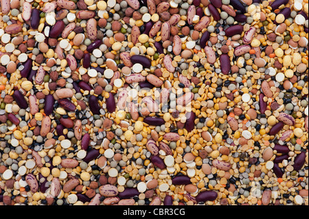 Hülsenfrüchte, Samen, Bohnen und Linsen Mischung Stockfoto