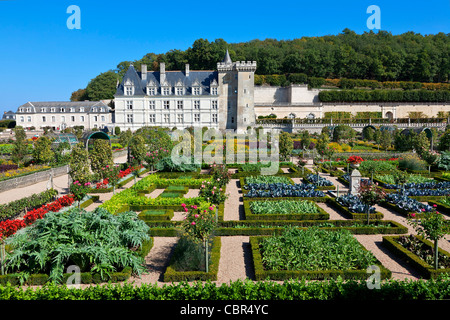 Loire-Tal, Chateau de Villandry Stockfoto