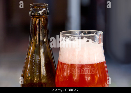 Horizontale nahe geformt von einem traditionellen Hoegaarden belgisches Bier in einer unverwechselbaren Tulpe Glas. Stockfoto