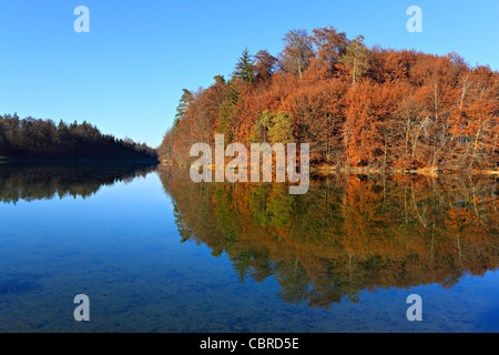 Langenbuergener siehe Eiszeit See, obere Bayern Chiemgau Stockfoto