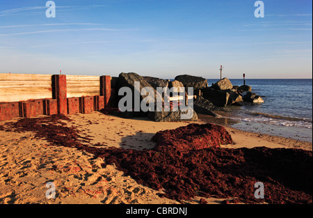 Banken von roten Algen angespült von der Flut am Strand von Waxham, Norfolk, England, Vereinigtes Königreich. Stockfoto