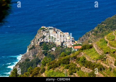 Corniglia, Nationalpark der Cinque Terre, Provinz La Spezia, Ligurien, Norditalien, Europa Stockfoto