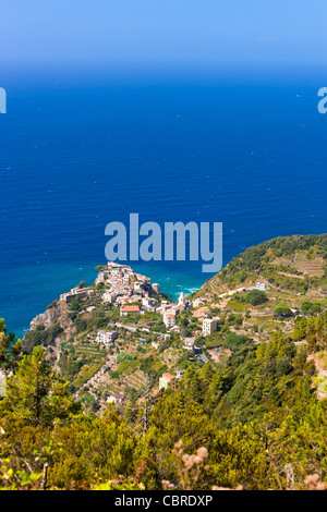 Corniglia, Nationalpark der Cinque Terre, Provinz La Spezia, Ligurien, Norditalien, Europa Stockfoto