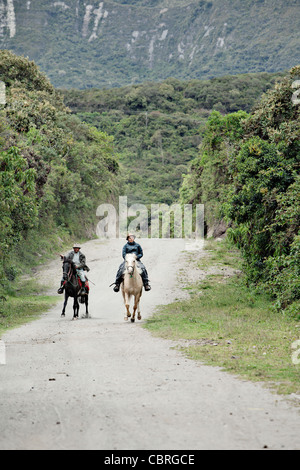 Touristen und einheimischen Führer Reitpferde auf Hügeln in der Nähe von Otavalo, Ecuador. Stockfoto