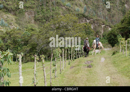 Touristen und einheimischen Führer Reitpferde auf Hügeln in der Nähe von Otavalo, Ecuador. Stockfoto