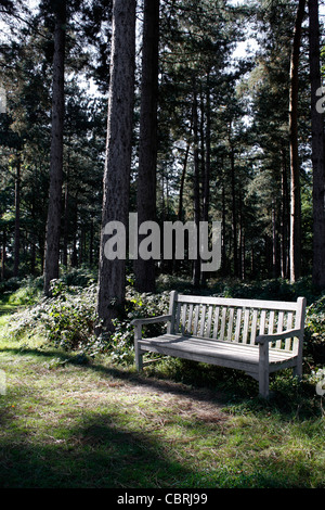 GARTENSITZ IM WALD. Stockfoto