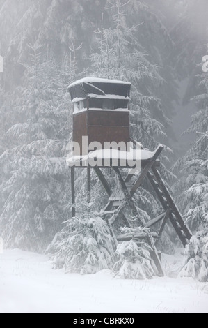 Erhöht Stand ein- / ausblenden für Jagd auf Hirsche und Wildschweine im Wald im Schnee im Winter, Ardennen, Belgien Stockfoto