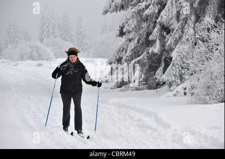 Ältere Frau nordischen Skilanglauf / Langlauf im Schnee im Winter bei Nature reserve Hoge / Hautes Fagnes, Belgien Stockfoto