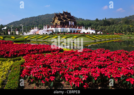 Purpurrote Blumen vor reich verzierten Royal Pavilion mit Spiegelbild im Teich am Royal Flora Ratchaphruek in Chiang Mai Thailand Stockfoto