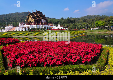 Purpurrote Blumen vor reich verzierten Royal Pavilion mit Spiegelbild im Teich am Royal Flora Ratchaphruek in Chiang Mai Thailand Stockfoto