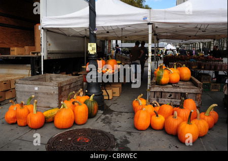 Orangefarbene Kürbisse Steinplatten, Passanten Holzkiste Markt Stände Zelt, Borough Hall Greenmarket, Columbus Plaza, Brooklyn Stockfoto