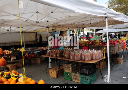 Weißen Baldachin Stall mit orange Kürbisse, Äpfel, Obst, Apfel-Cider-Flaschen, Shopper, Borough Hall Market, Columbus Plaza, NY Stockfoto