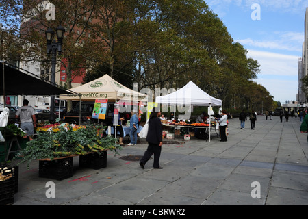 Blauer Himmel, Blick über Beecher Statue, drei Stände, die Obst Gemüse, Brooklyn Borough Hall Market, Columbus Plaza, NY Stockfoto