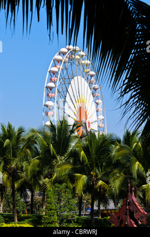 Riesenrad in klaren, blauen Himmel über Kokospalmen am Royal Flora Ratchaphruek in Chiang Mai Thailand Stockfoto