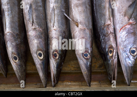 Fangfrischen Fisch in einer Box bereit zu verkaufen, Fischmarkt Victoria, Mahé, Seychellen Stockfoto