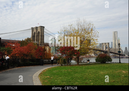 Green grass rot Herbst Bäume Ansicht Ost Fluss Brooklynbridge, Lower Manhattan Wolkenkratzer von Fulton Ferry Park, Brooklyn, NY Stockfoto