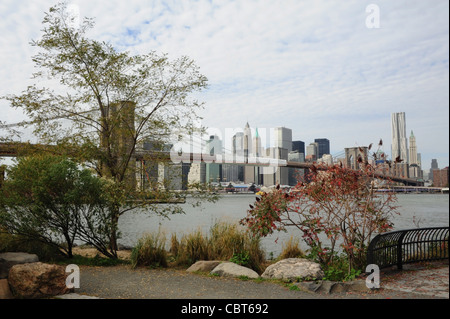 Herbstliche Bäume Blick East River Brooklyn Bridge in Richtung Manhattan Wolkenkratzer Pier 17, von Fulton Ferry Park, Brooklyn Dumbo, NY Stockfoto