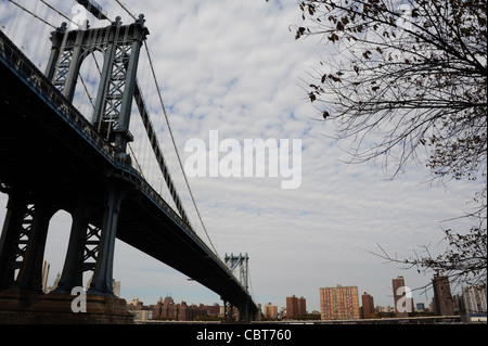 Herbst Baum Blick auf Manhattan Bridge, Blickrichtung grauen Wolken Himmel von Empire-Fulton Ferry Park, Brooklyn, New York Stockfoto