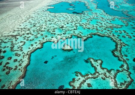 Luftaufnahmen der schönen Heart Reef in das spektakuläre Great Barrier Reef in der Nähe der Whitsunday Islands in Queensland, Australien. Stockfoto