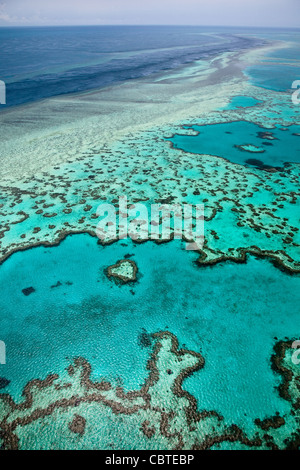 Luftaufnahmen der schönen Heart Reef in das spektakuläre Great Barrier Reef in der Nähe der Whitsunday Islands in Queensland, Australien. Stockfoto