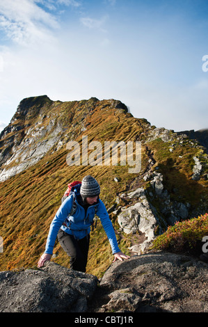 Weibliche Wanderer erklimmt Felsen nahe Gipfel des Reinebringen, Moskenesoy, Lofoten Inseln, Norwegen Stockfoto