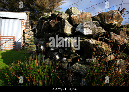 Trockenmauer und Draht Zaun Tor Schuppen Irland Stockfoto