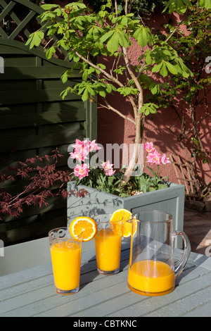 Terrasse im Frühsommer mit Orangensaft und Gläser auf Tisch, Blumentopf und Blumen im Hintergrund. Stockfoto