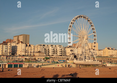 Die Brighton Wheel (Riesenrad) auf Brighton Seafront, East Sussex, England. Stockfoto